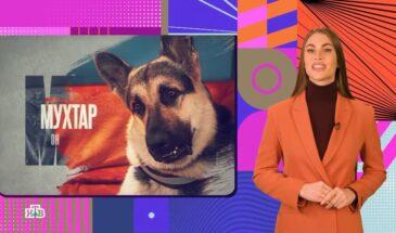 Мухтар: Он вернулся